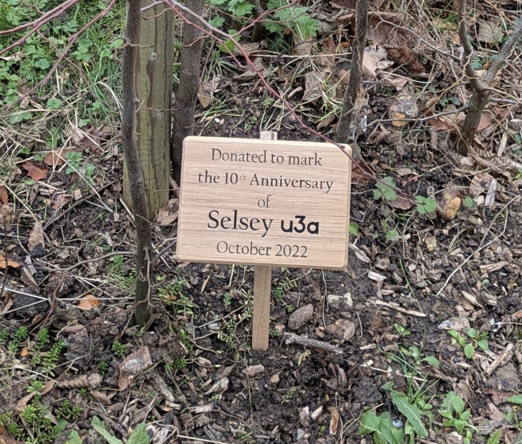 u3a plaque